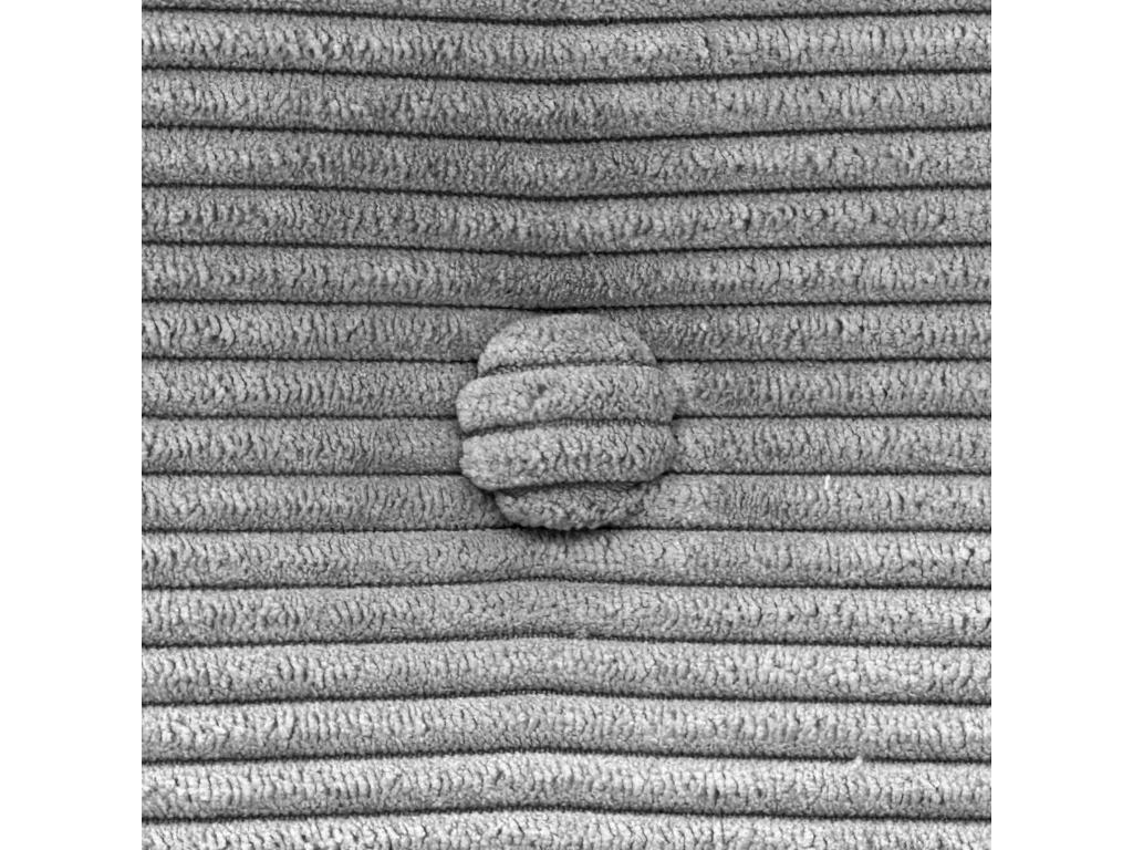 Meublita Tête de Lit Velours C?telé Uni avec Boutons 160x115 avec Pieds de Lit 150/160 - Gris