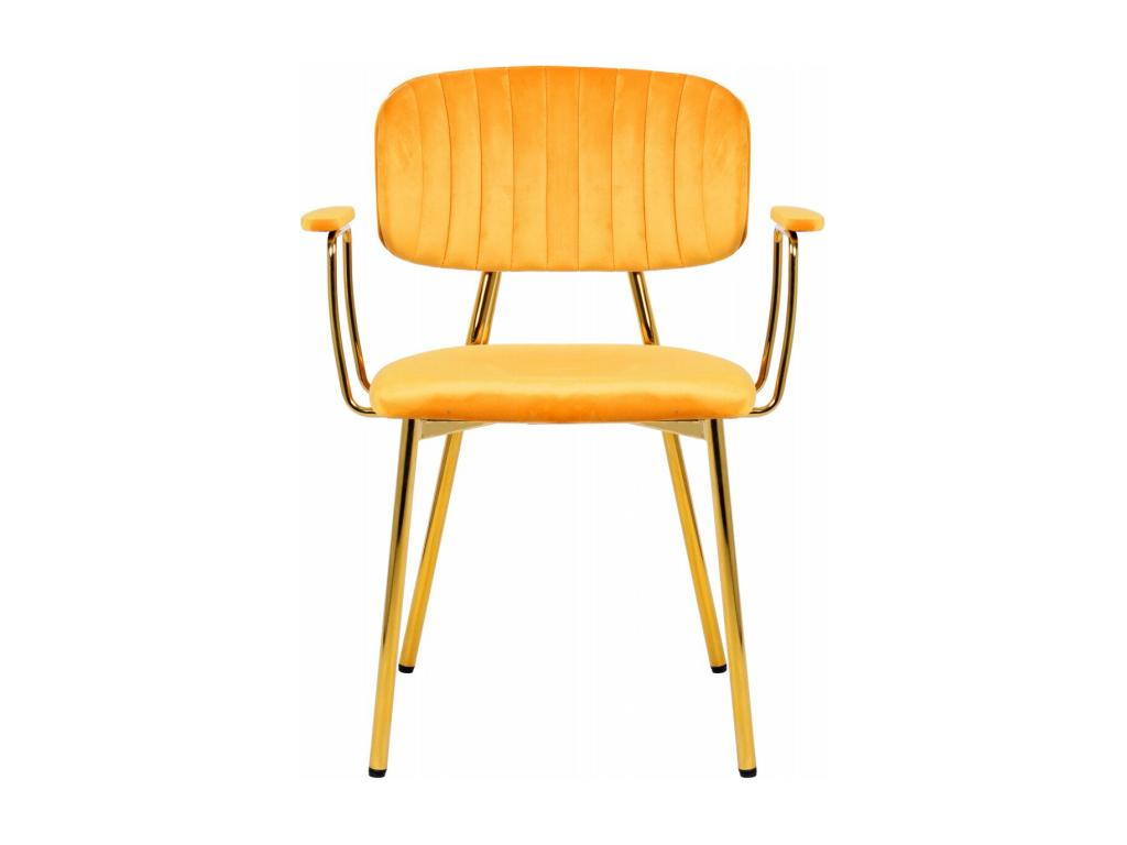 Chaise Vertchez 225 lot de 2