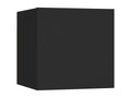 Meubles TV muraux 2 pcs Noir 30,5x30x30 cm